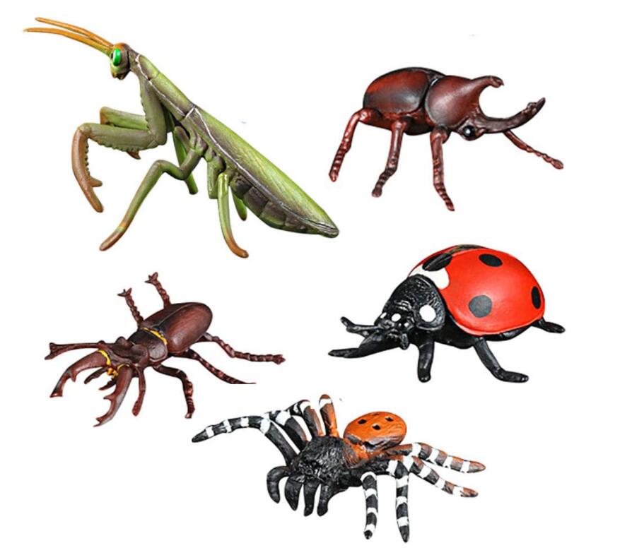 5pcs Realistic Insect Action Model